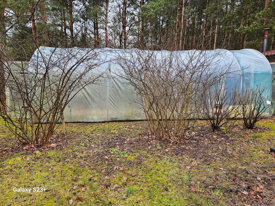 Tunel do uprawy warzyw - szkielet