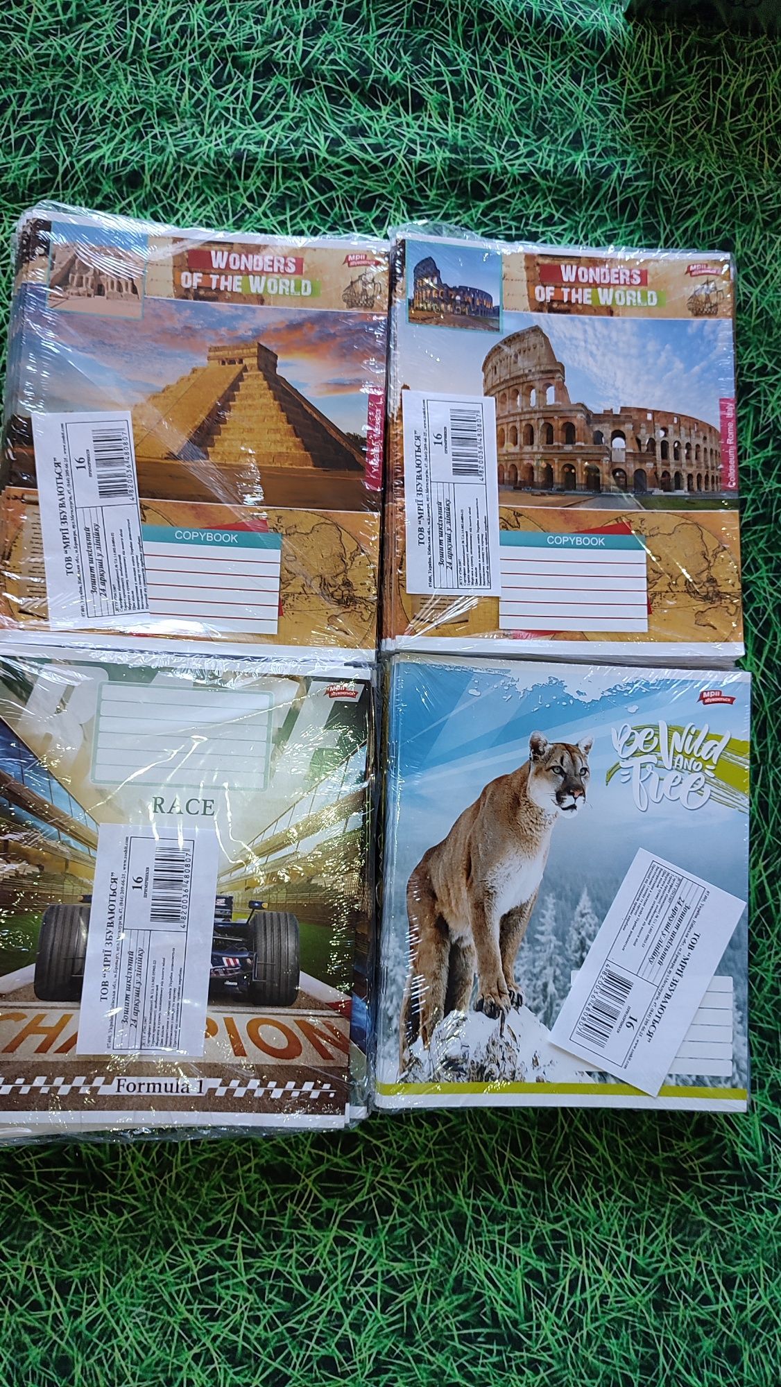 Зошити клітинка,лінійка, коса