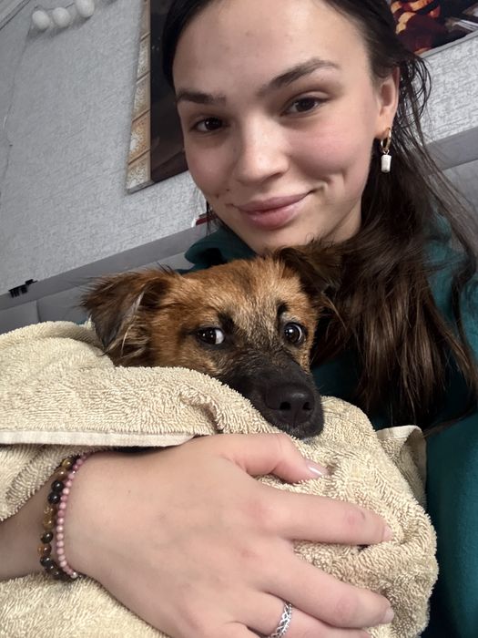 Віддам у добрі руки маленького хлопчика, який шукає дім , БЕЗКОШТОВНО