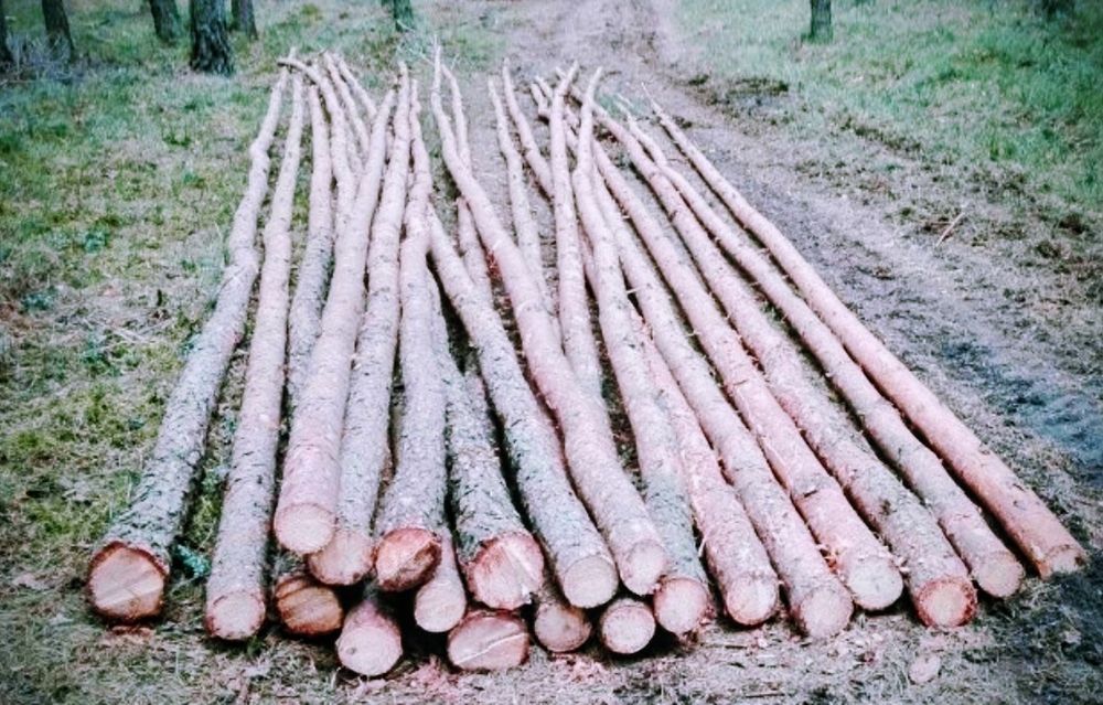 Stemple budowlane 3.3metra solidne grube