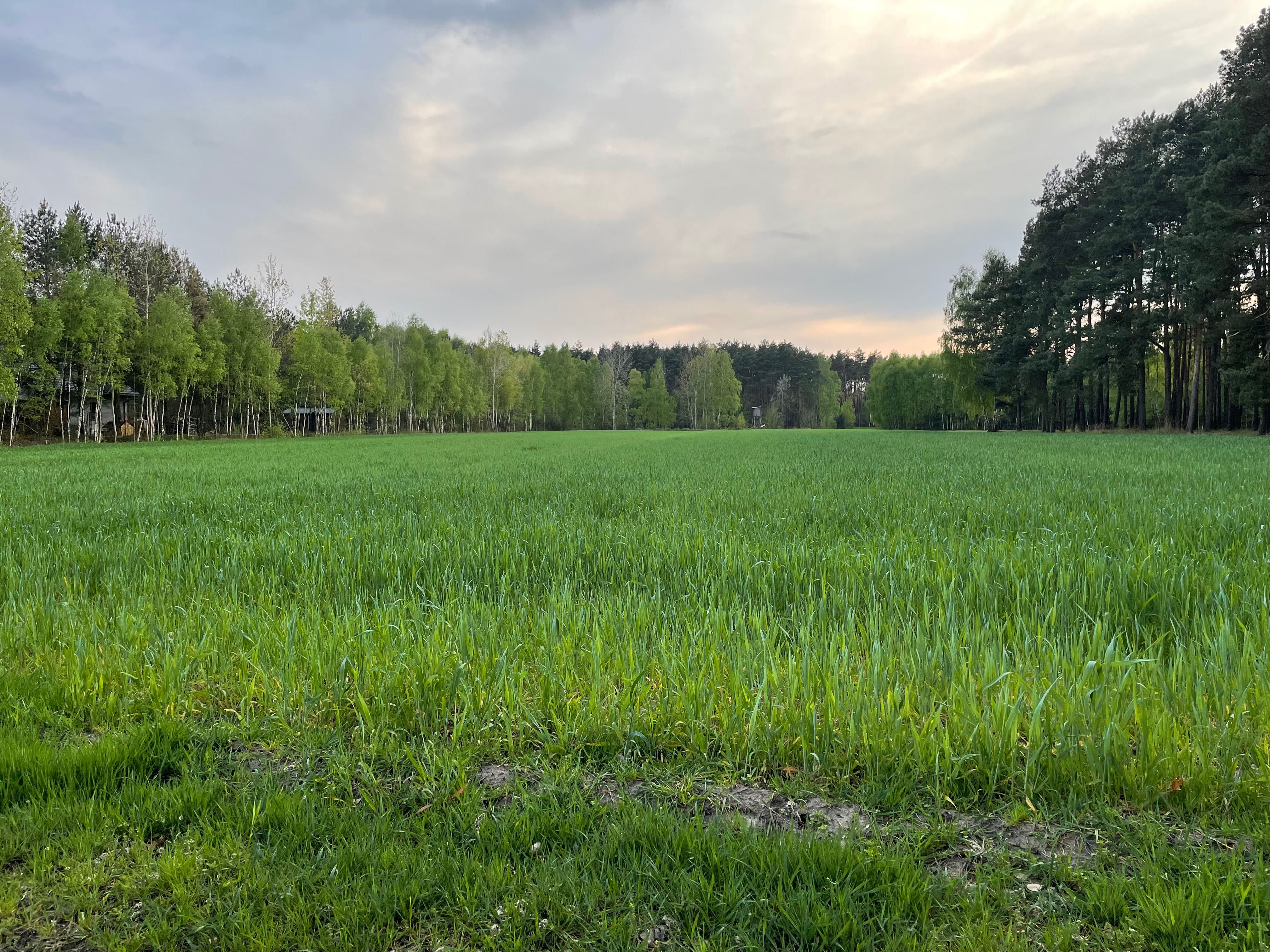 Urokliwa działka budowlana z MPZP, Kwilno - rezerwacja