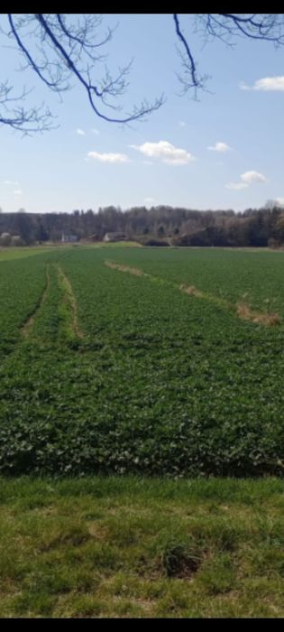 Działka rolna Nietulisko Małe