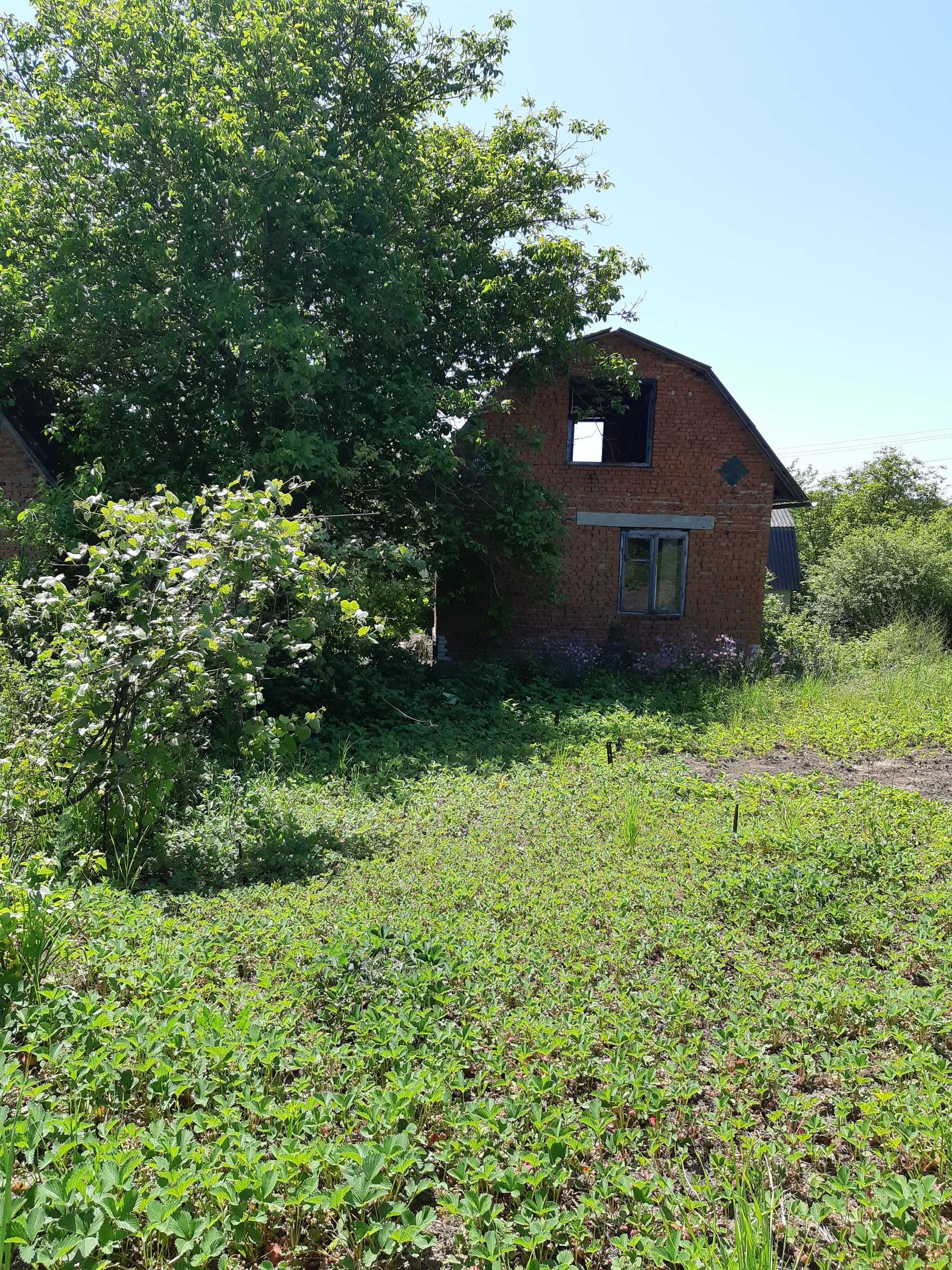 Дачна ділянка с.Висічка