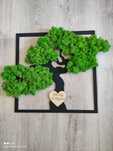 Ramki z mchem naturalnym