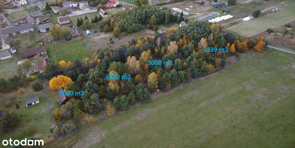 Cielętniki, zabudowa jednorodzinna, 3000 m2