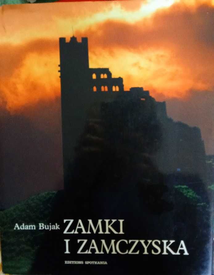 Zamki i zamczyska - Adam Bujak