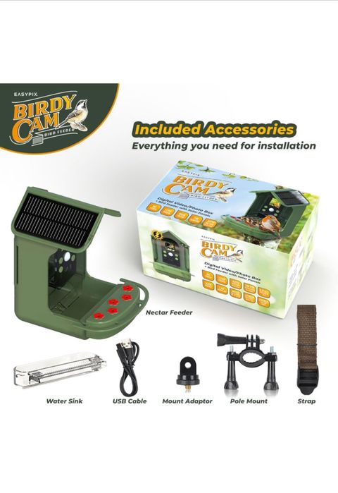 Comedouro para pássaros com câmera e painel solar