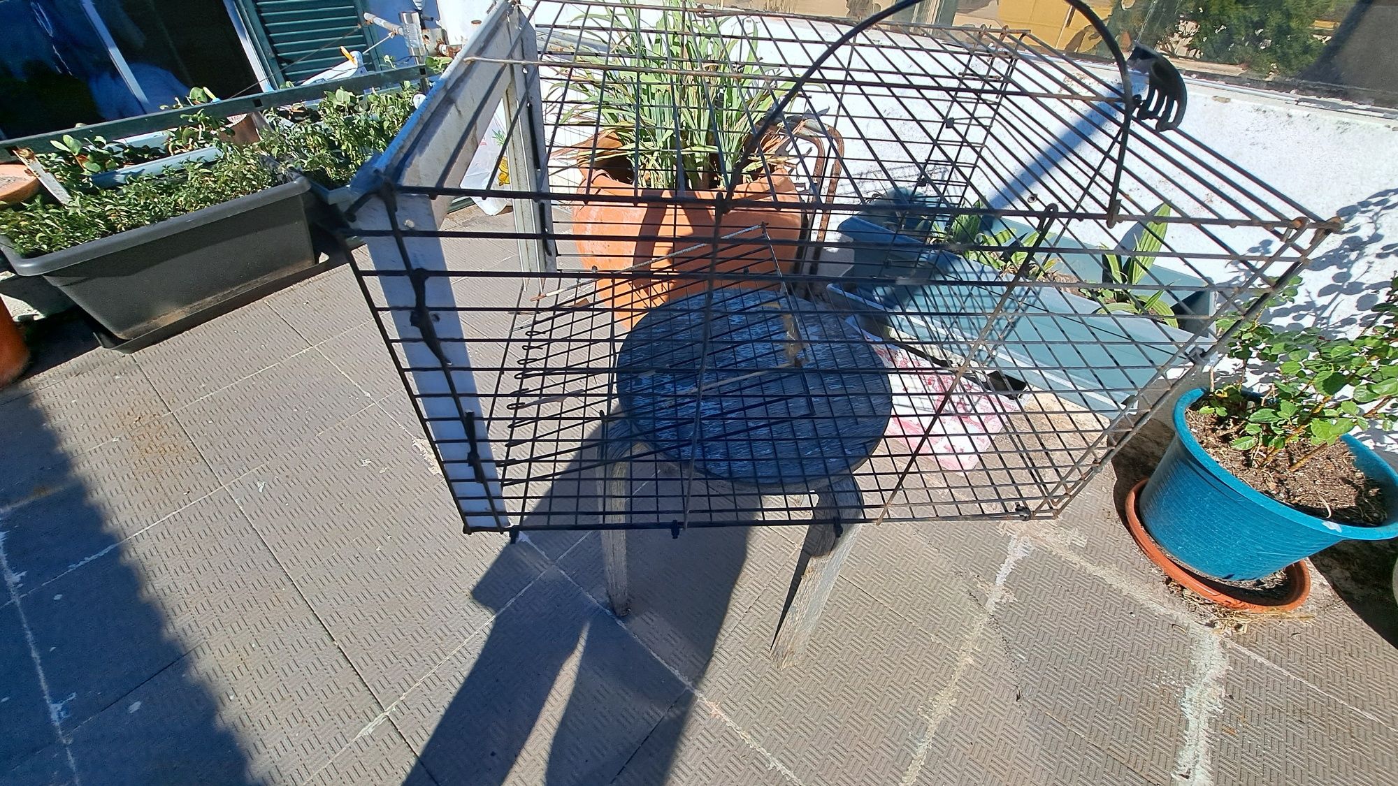 Ratoira artesanal para gatos e afins