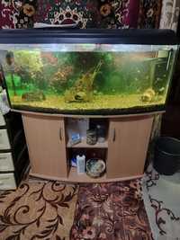 Продам акваріум з рибками і всим необхідним
