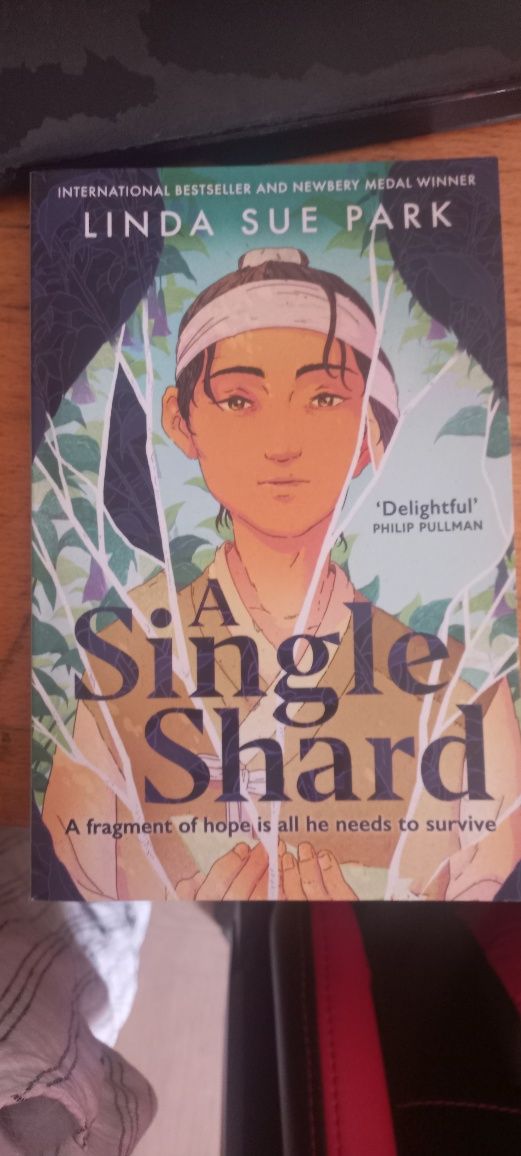 A single shard, livro