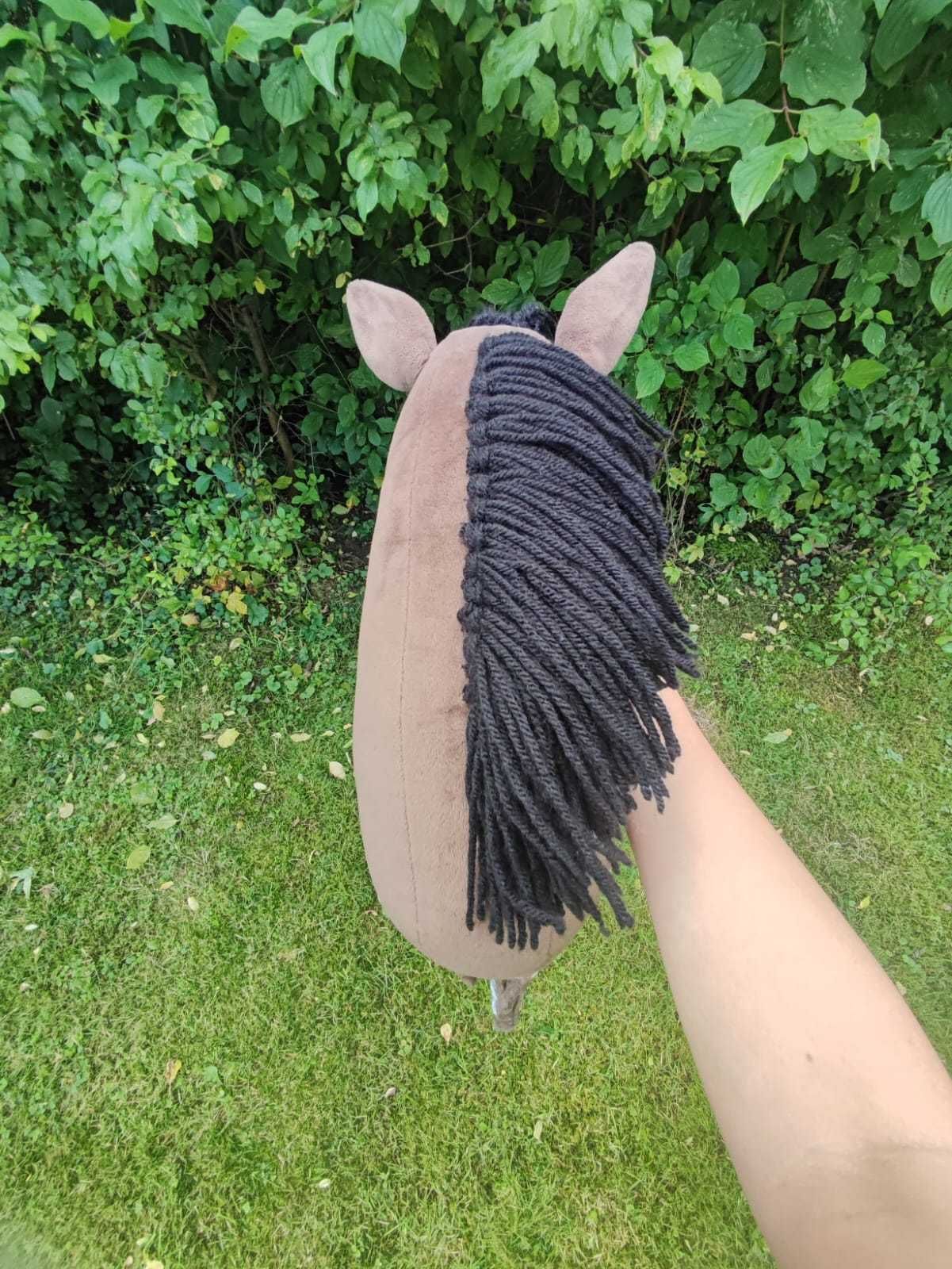 Hobby horse konik A3