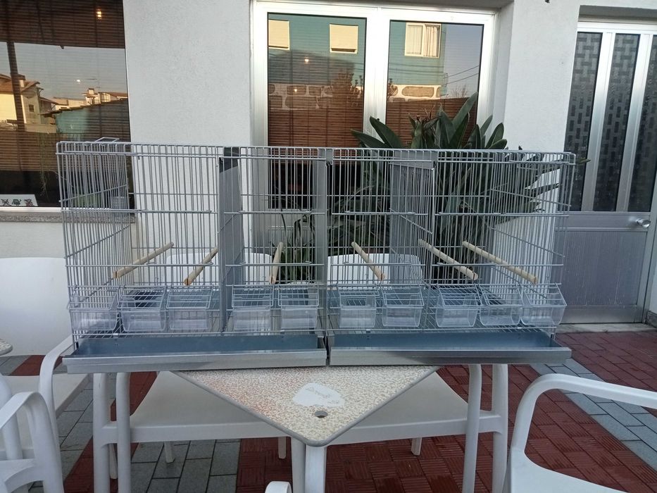 Gaiolas para canários