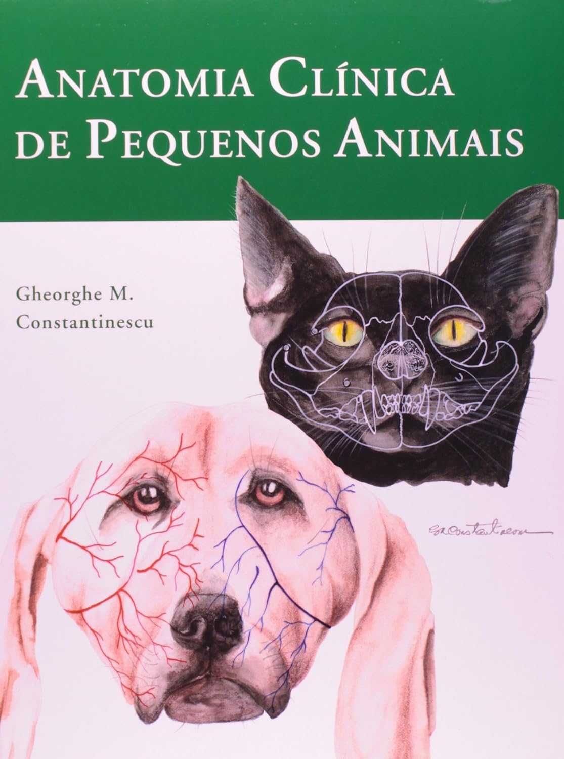 Nutrição e Anatomia - Pack de livros