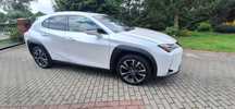 LEXUS UX 250H  Salon Polska