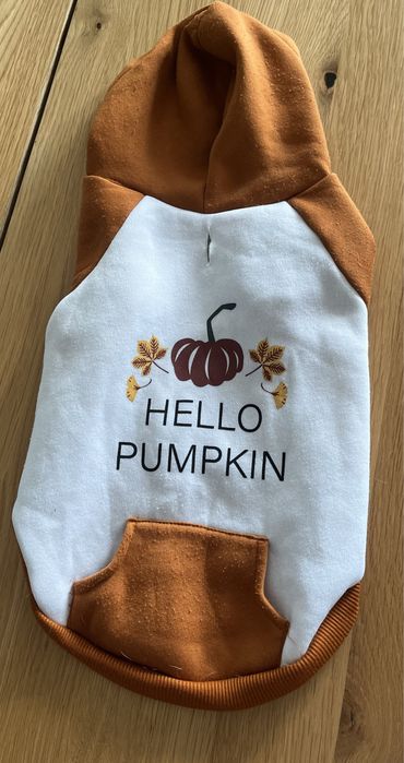 Ubranko dla psa - Hello Pumpkin