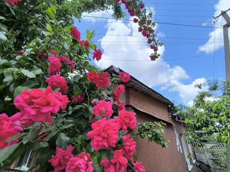 Продаж, частина будинку Проватоматика, рн ОЛДІ