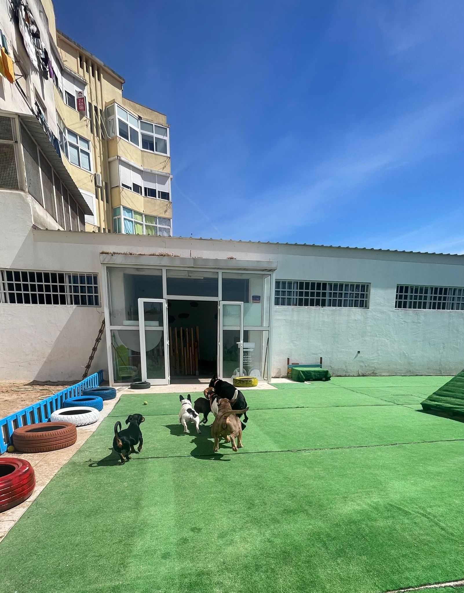 Oportunidade de trespasse loja de animais, creche/hotel canino