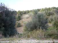 Terreno  para venda