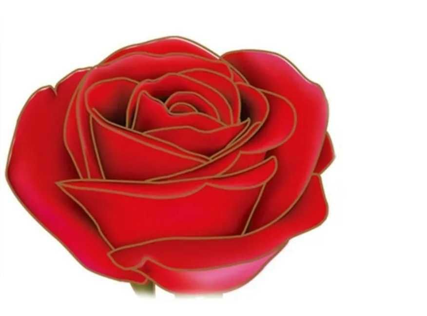 Adesivo decorativo de parede (Rosas), (120*75 cm)