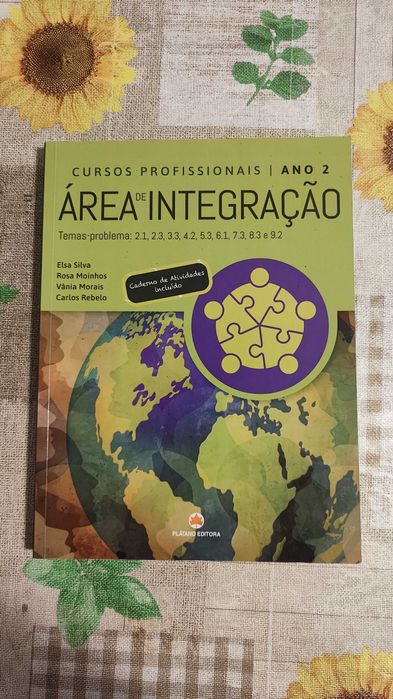 Área de Integração 11° ano