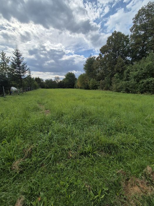 Działka Jedlicze 32ar