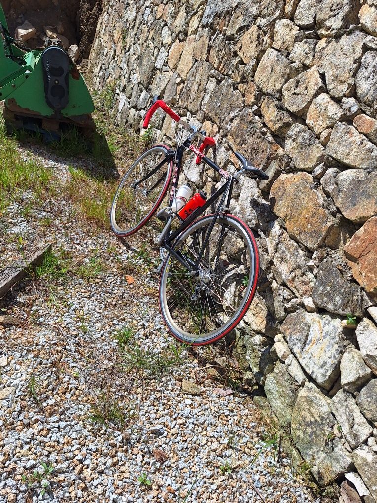 Bivicleta ciclisno