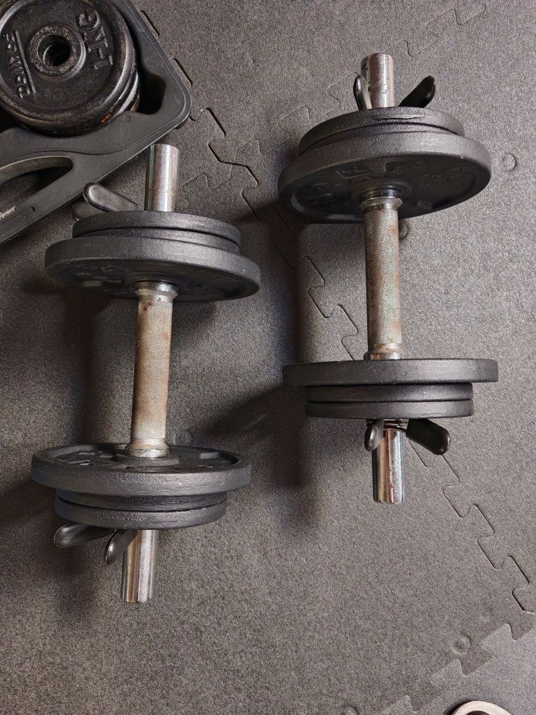 Halteres musculação
