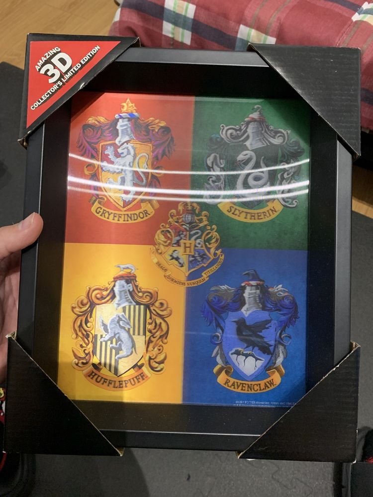 Varios Quadro com imagem 3d Harry potter