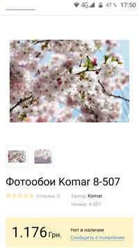 Фотообои Komar 8-507 Spring