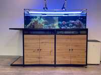 Akwarium morskie 160x50x40 320L z szafką oraz życiem