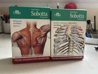 Fiszki anatomia Sobotta PL
