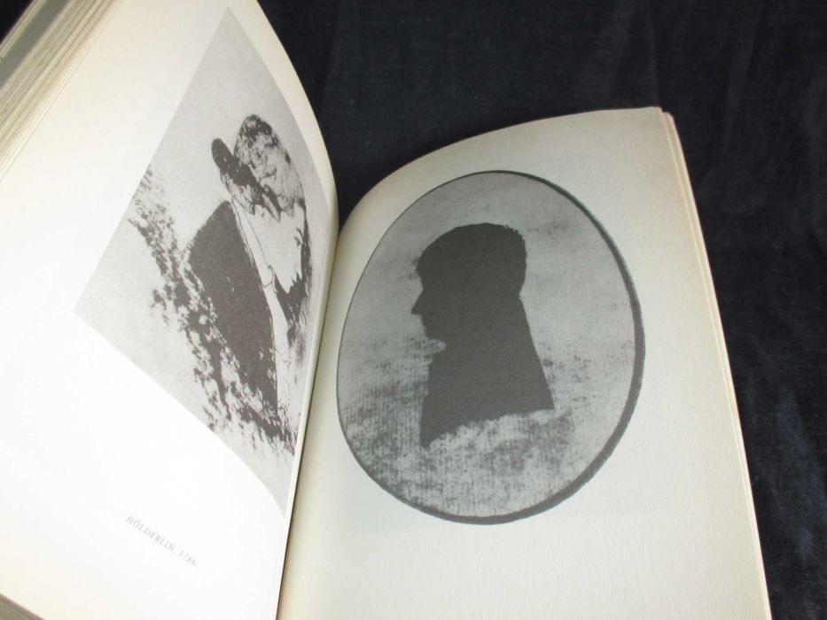 Livro Elegias Friedrich Hölderlin Assírio & Alvim