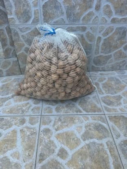 Saca de nozes 8kg