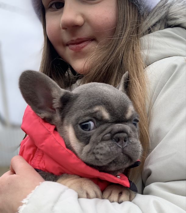 Новотипна дівчинка