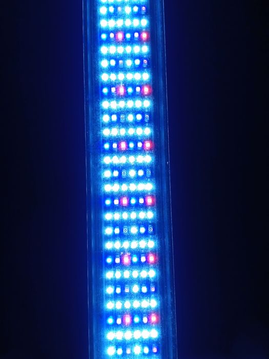 Светильник аквариумный