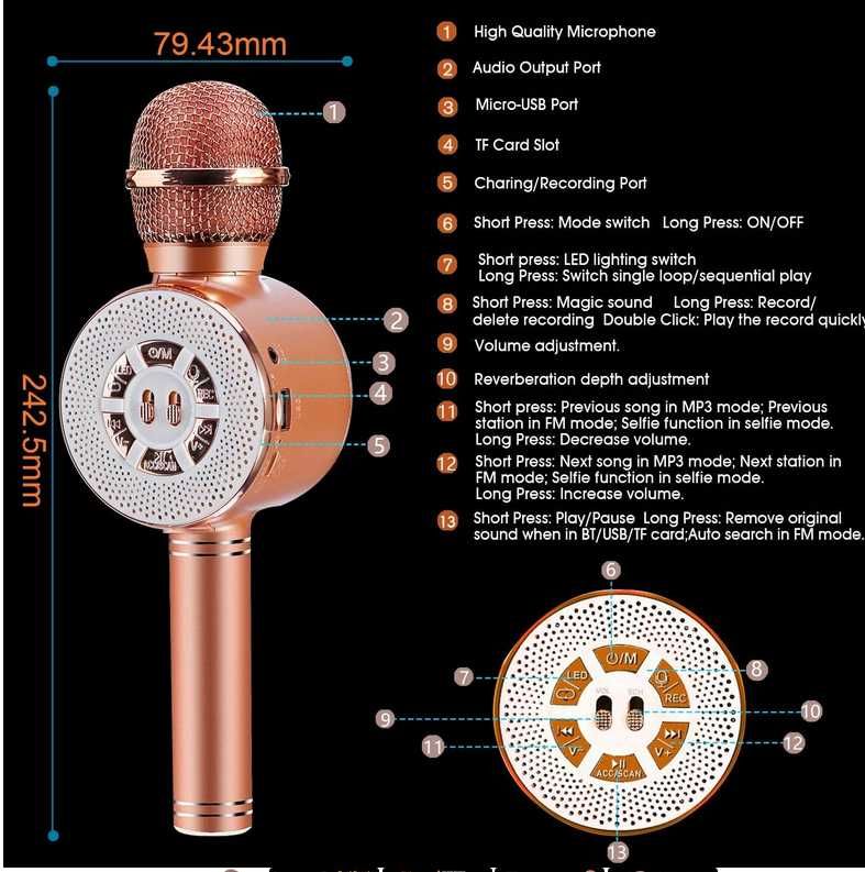 FISHOAKY Mikrofon do karaoke dla dzieci, 4w1, Bluetooth, z głośnikiem