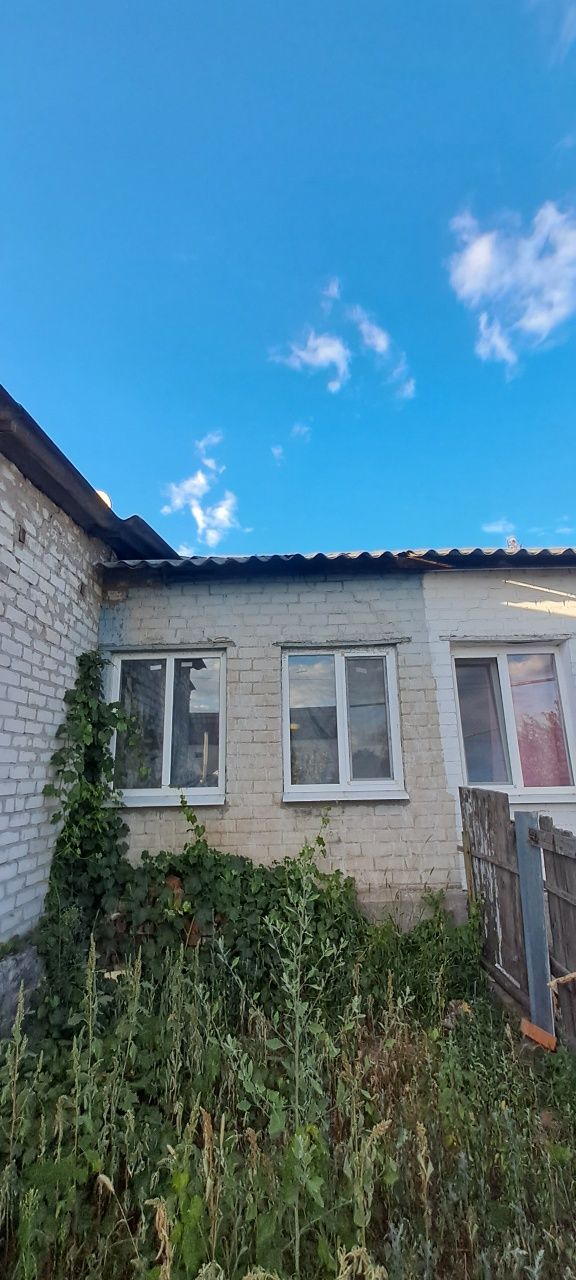 Будинок на реївці