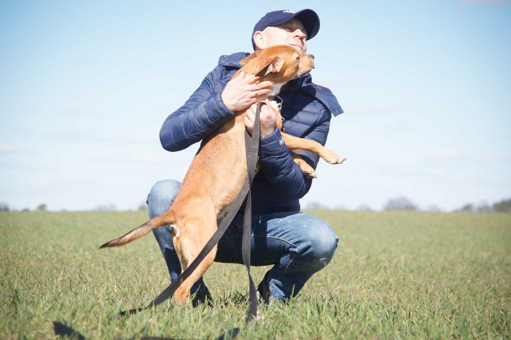 TOTO – wesoły i energiczny psiaczek szuka domu!