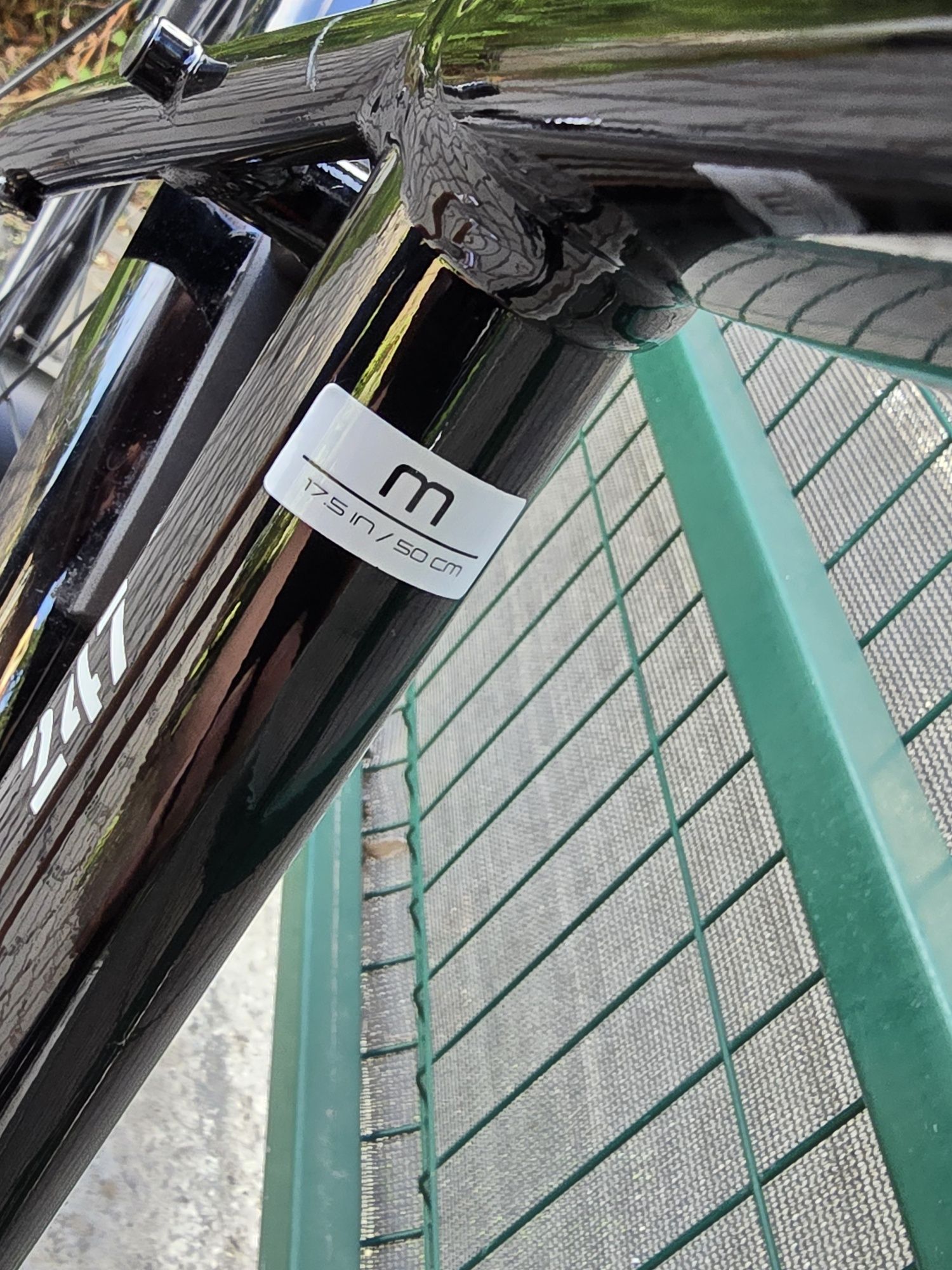Diamant 247 Trekking na pasku Gates Carbon Drive