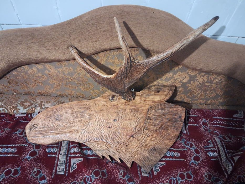 Продам ріг на дерев'яній голові  лося