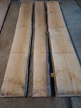 Tarcica klonowa klon suchy 50,46 mm