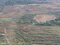 Quinta T3 em Ervedosa do Douro de 634,00 m2