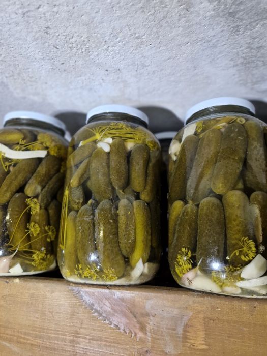 Ogórki kiszone Naturalnie 4L