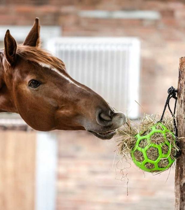 Covalliero piłka na siano dla konia zabawka na padok i do stajni.