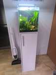 Krewetkarium Aquael 49L 35x35x40h White duży zestaw akwarium krewetki