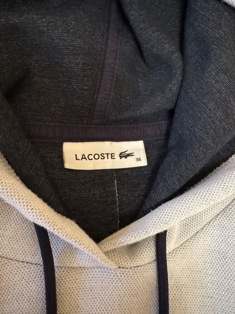 Худі Lacoste original