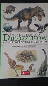 Encyklopedia Dinozaurów I innych zwierząt prehistorycznych Dragon