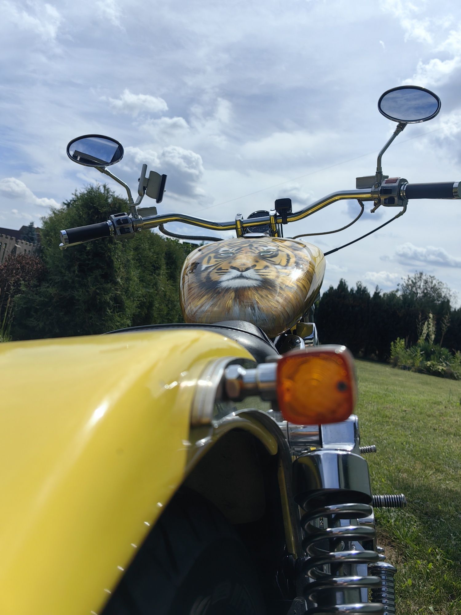 Suzuki intruder vx51l