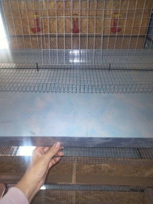 Клітки для перепілок 
Розміри 92 х50х22
Система поїнн