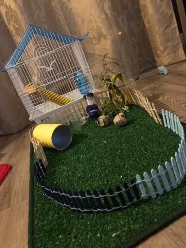 Gaiola e cercado para hamsters